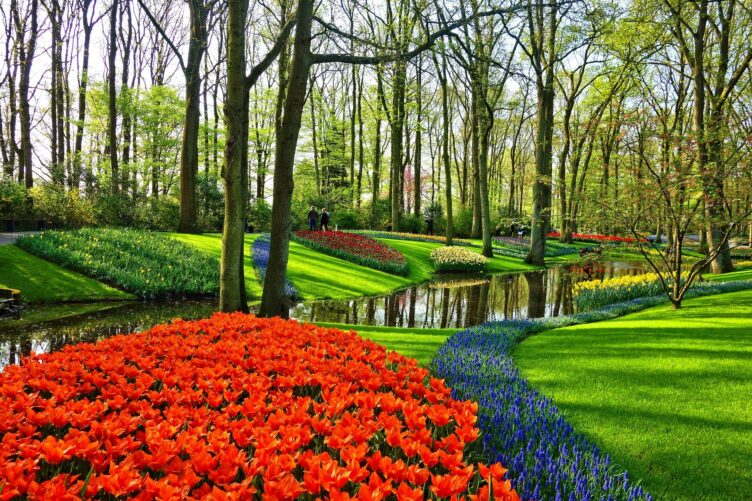 Keukenhof (NL)</br>05.04.2025