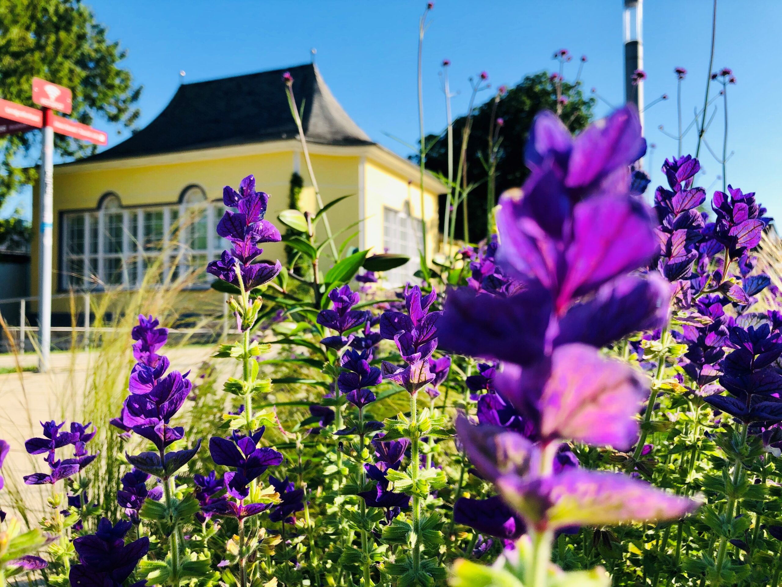 Bad Nenndorf – Landesgartenschau</br> 29.07.2026